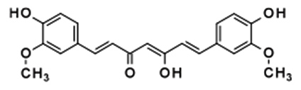 Curcumin Extracts Manufacturer